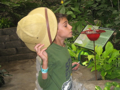 Nicholas at the Butterfly Museum