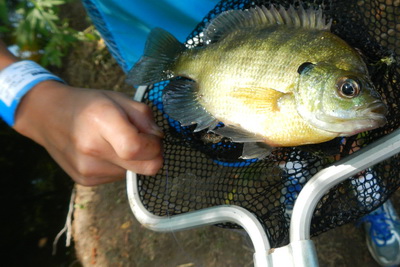 Nicholas holding a green sunfish